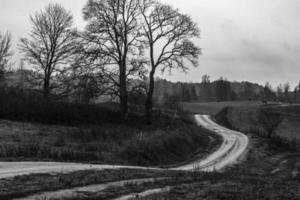 Graveled Country Road photo