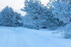 paisajes de invierno en estonia foto