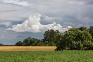 paisajes rurales de verano en los estados bálticos foto