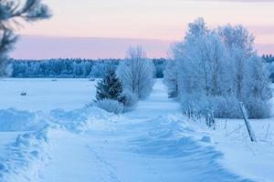 paisajes de invierno en estonia foto