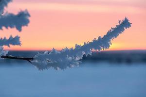 Winter Landscapes in Estonia photo