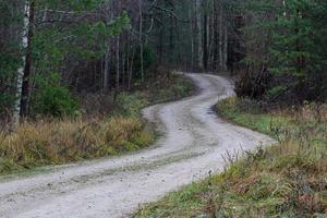 Graveled Country Road photo