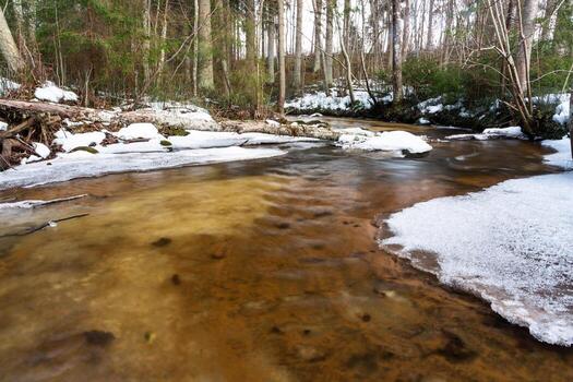un pequeño río de bosque rocoso en invierno foto