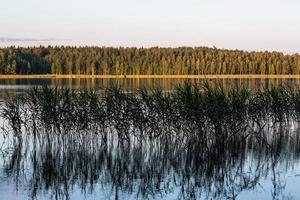 paisajes de verano en letonia foto