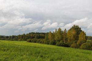 Rural Summer landscapes in Baltic States photo