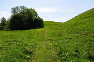 Summer Landscapes in the Latvian Countryside photo