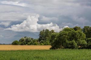 Rural Summer landscapes in Baltic States photo