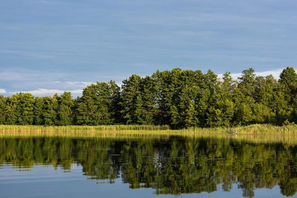 Summer Landscapes in Latvia