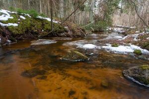 un pequeño río de bosque rocoso en invierno foto