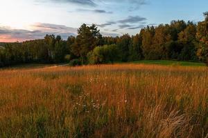 paisajes de verano en letonia foto