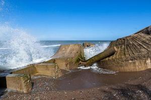 Seaside of Baltic Sea in Summer photo