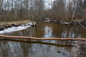 A Small Rocky Forest River in Springtime photo