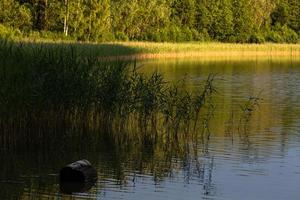 Summer Landscapes in Latvia photo