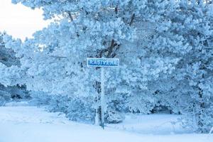 Winter Landscapes in Estonia photo