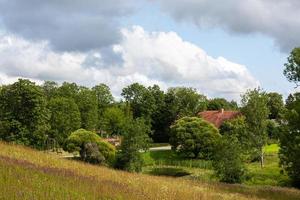 Summer Landscapes in Latvia photo