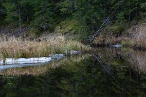 un pequeño río forestal en invierno foto