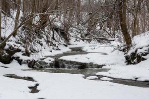 A Small Rocky Forest River in Winter photo