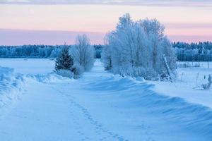 paisajes de invierno en estonia foto