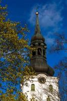 Tallinn Old Town in Summer Evening photo