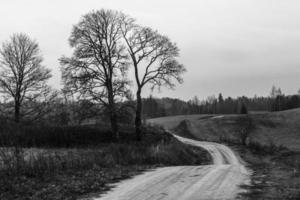 Graveled Country Road photo