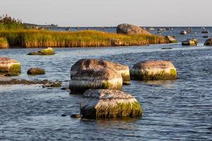 Natural landscapes of the island of Vormsi photo