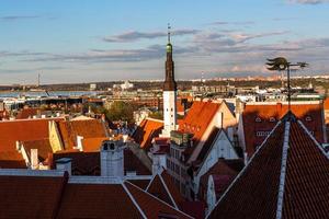 Tallinn Old Town in Summer Evening photo