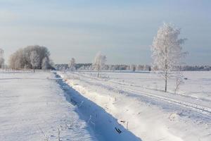 paisajes de invierno en estonia foto