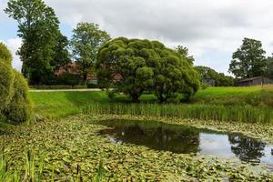 Summer Landscapes in Latvia photo