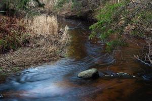 un pequeño río de bosque rocoso en otoño foto