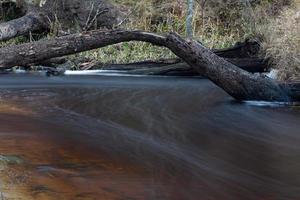 A Small  Forest River in Springtime photo