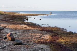 paisajes naturales de la isla de vormsi foto