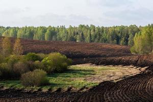 Summer Landscapes in the Latvian Countryside photo