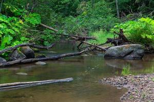 A Small Rocky Forest River in Summer photo