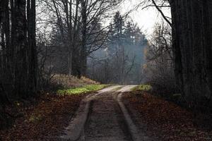 Graveled Country Road photo