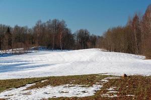 Winter Landscapes in Baltic States photo