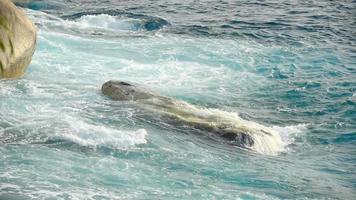 Turquoise waves rolled on the rocks, beach of Koh Miang island, Similan Islands, slow motion video