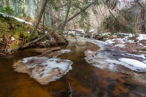 A Small Rocky Forest River in Winter photo