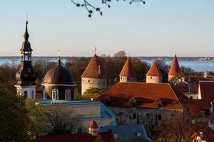 Tallinn Old Town in Summer Evening photo