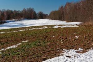 Winter Landscapes in Baltic States photo