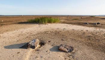 Natural landscapes of the island of Vormsi photo