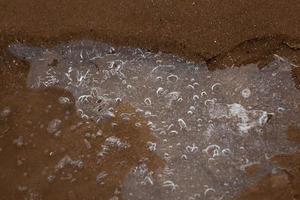 Ice Patterns on Thin Ice photo