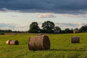 Rural Summer landscapes in Baltic States photo