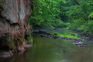 A Small Rocky Forest River in Summer photo