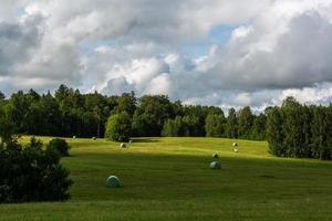 Summer Landscapes in Latvia photo