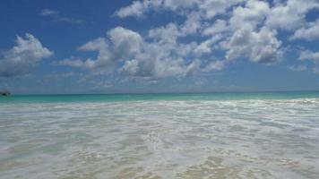 oceaan golven Aan de Seychellen strand video