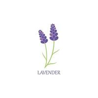 lavender floral aromatic logo vector icon illustration