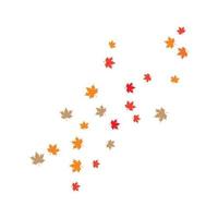 Maple leaf background vector illustration