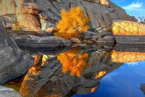 Barker Dam in Joshua Tree National Park in the evening at sunset. photo