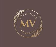 plantilla de logotipos de monograma de boda con letras iniciales mv, plantillas florales y minimalistas modernas dibujadas a mano para tarjetas de invitación, guardar la fecha, identidad elegante. vector