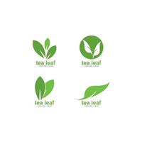 ilustración de icono de vector de logotipo de hoja de té
